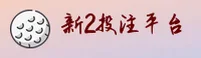 新2(XIN2)官方网站 - 安全登录入口